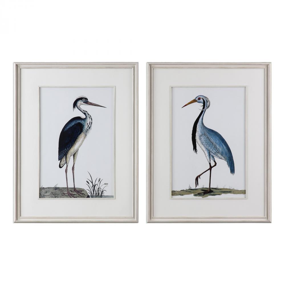 Uttermost Shore Birds Framed Prints, S/2