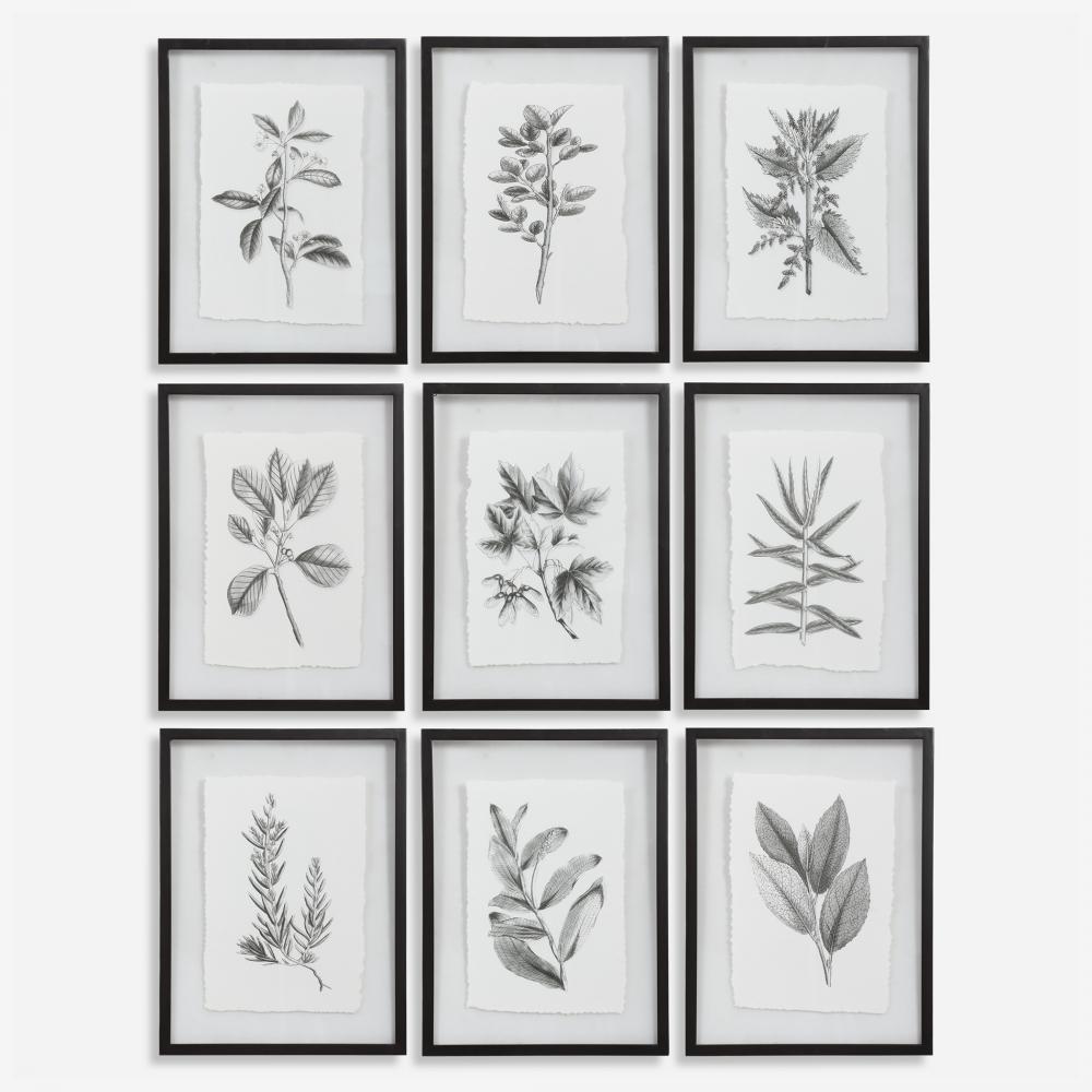 Uttermost Farmhouse Florals Framed Prints, S/9 3 Cartons