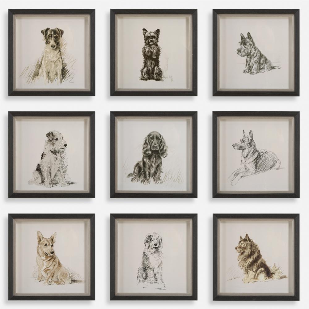 Uttermost Loyal Companion Framed Prints, S/9