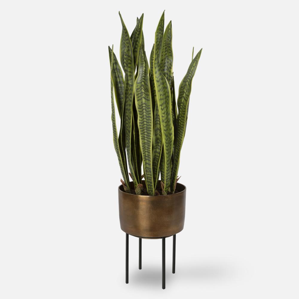 Uttermost Fasita Planter, 2 cartons