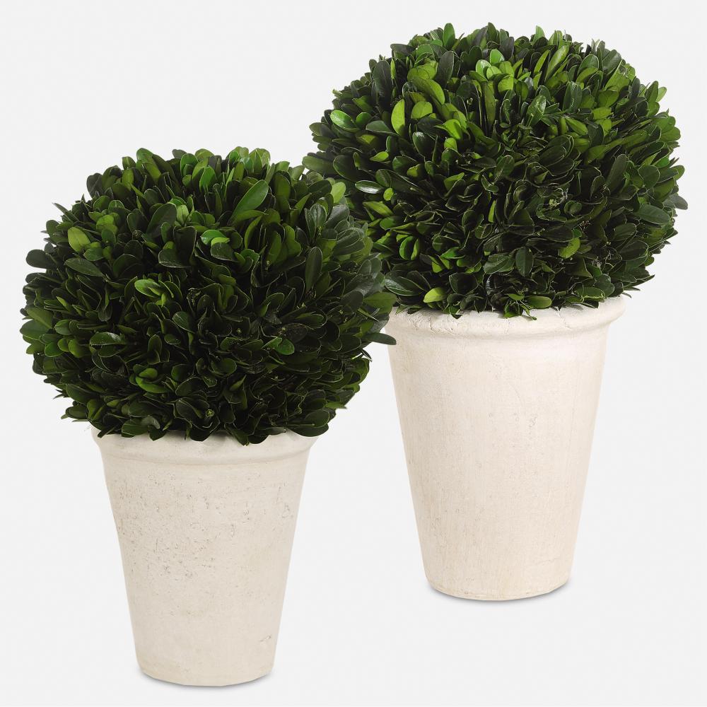 Uttermost Preserved Boxwood Domes, S/2
