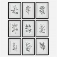 Uttermost 41617 - Uttermost Farmhouse Florals Framed Prints, S/9 3 Cartons