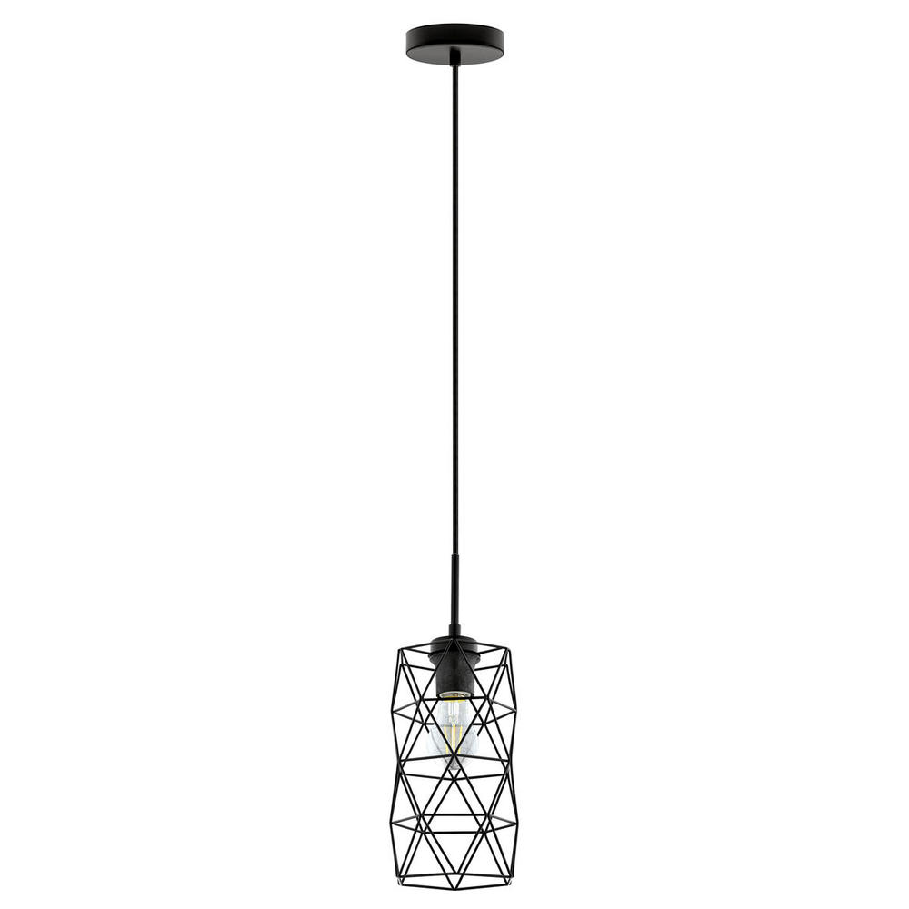 1 LT Mini Pendant w/ Matte Black Finish & Metal Wire Cage Shade