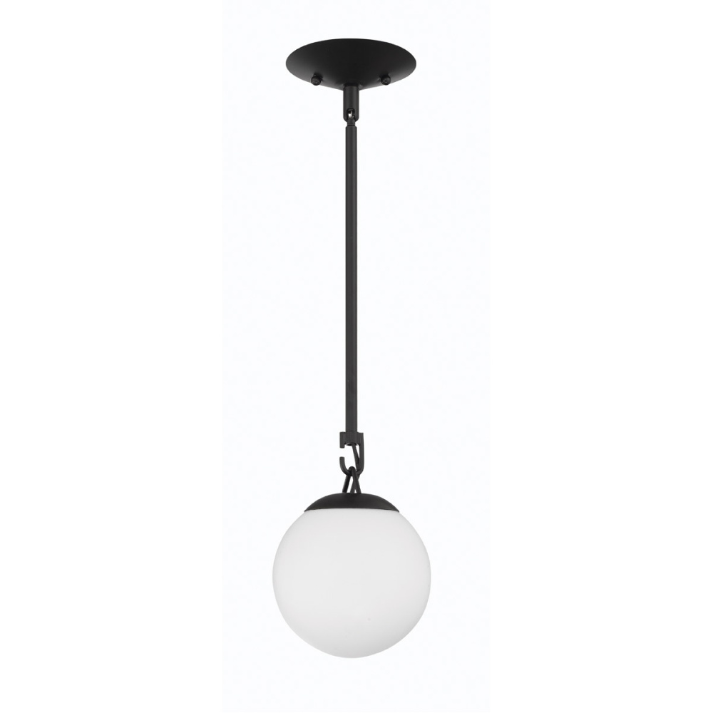 1 Light Mini Pendant