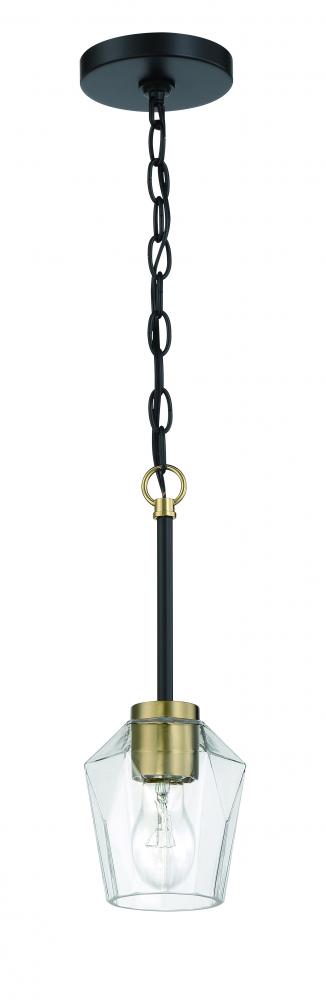 1 Light Pendant