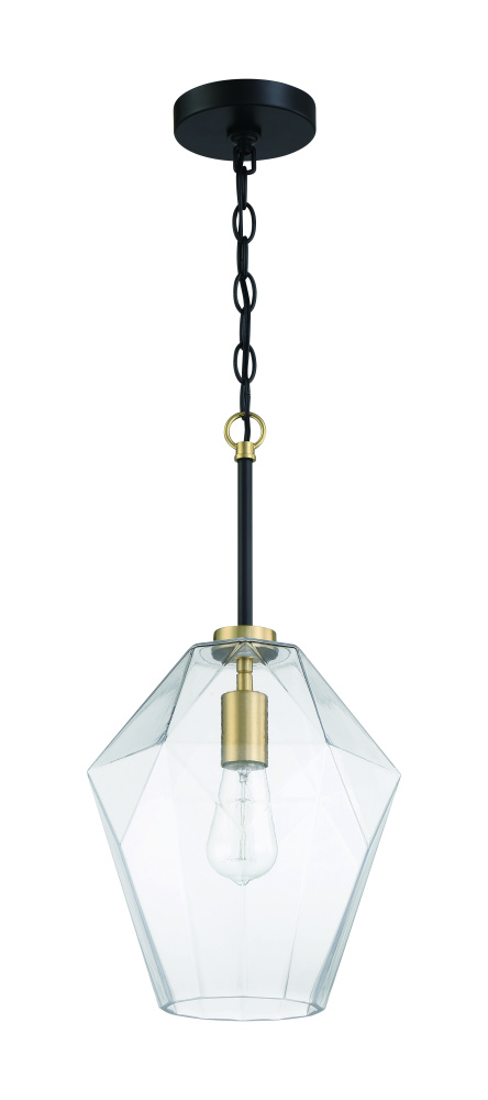 1 Light Pendant