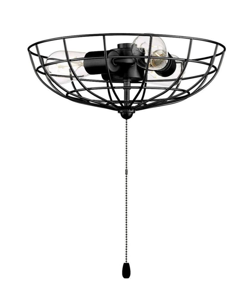 Caged Bowl w/3x4w LED