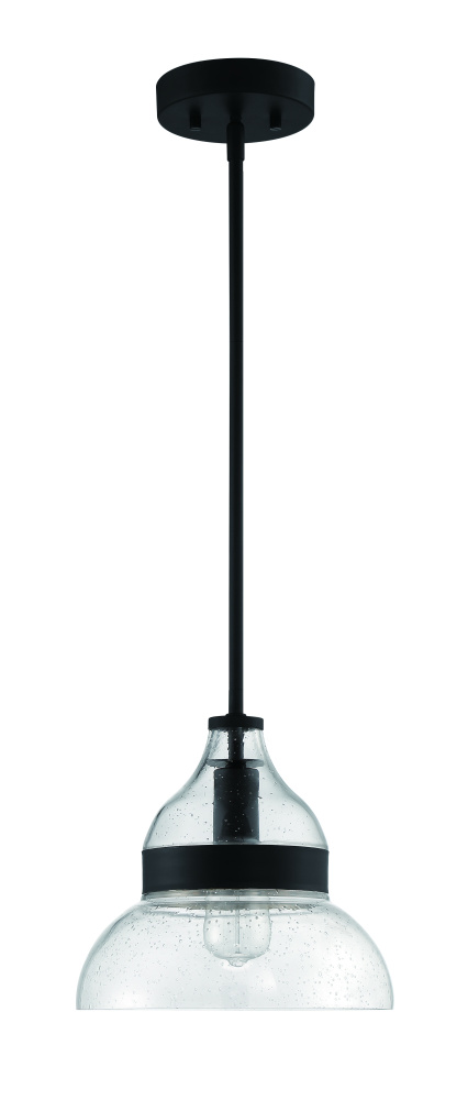 1 Light Pendant