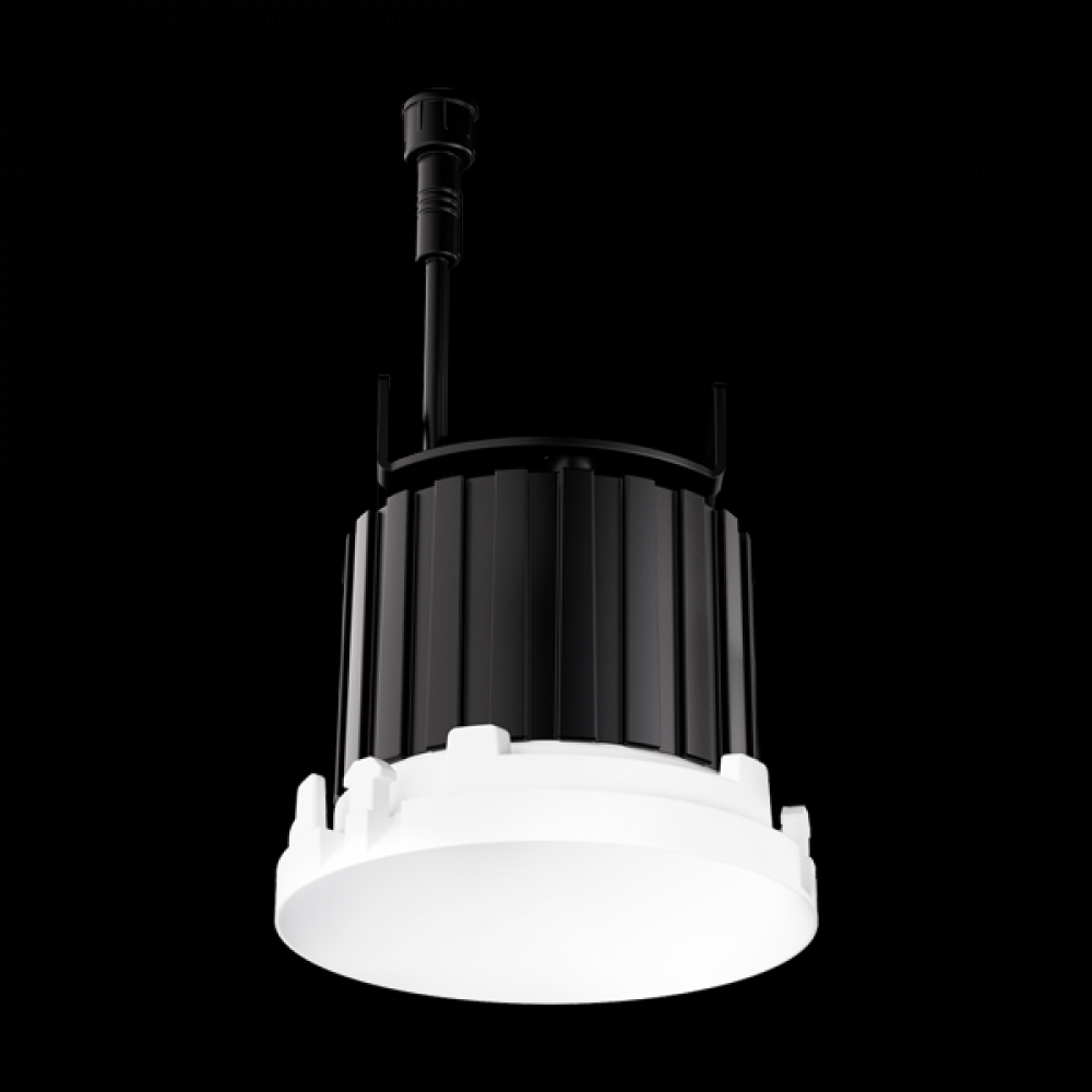 1" Round Architectural OakÃƒÂ¢Ã¢â‚¬Å¾Ã‚Â¢ Trimless Downlight